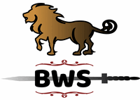 Benaiah Website Services logo featuring a golden lion