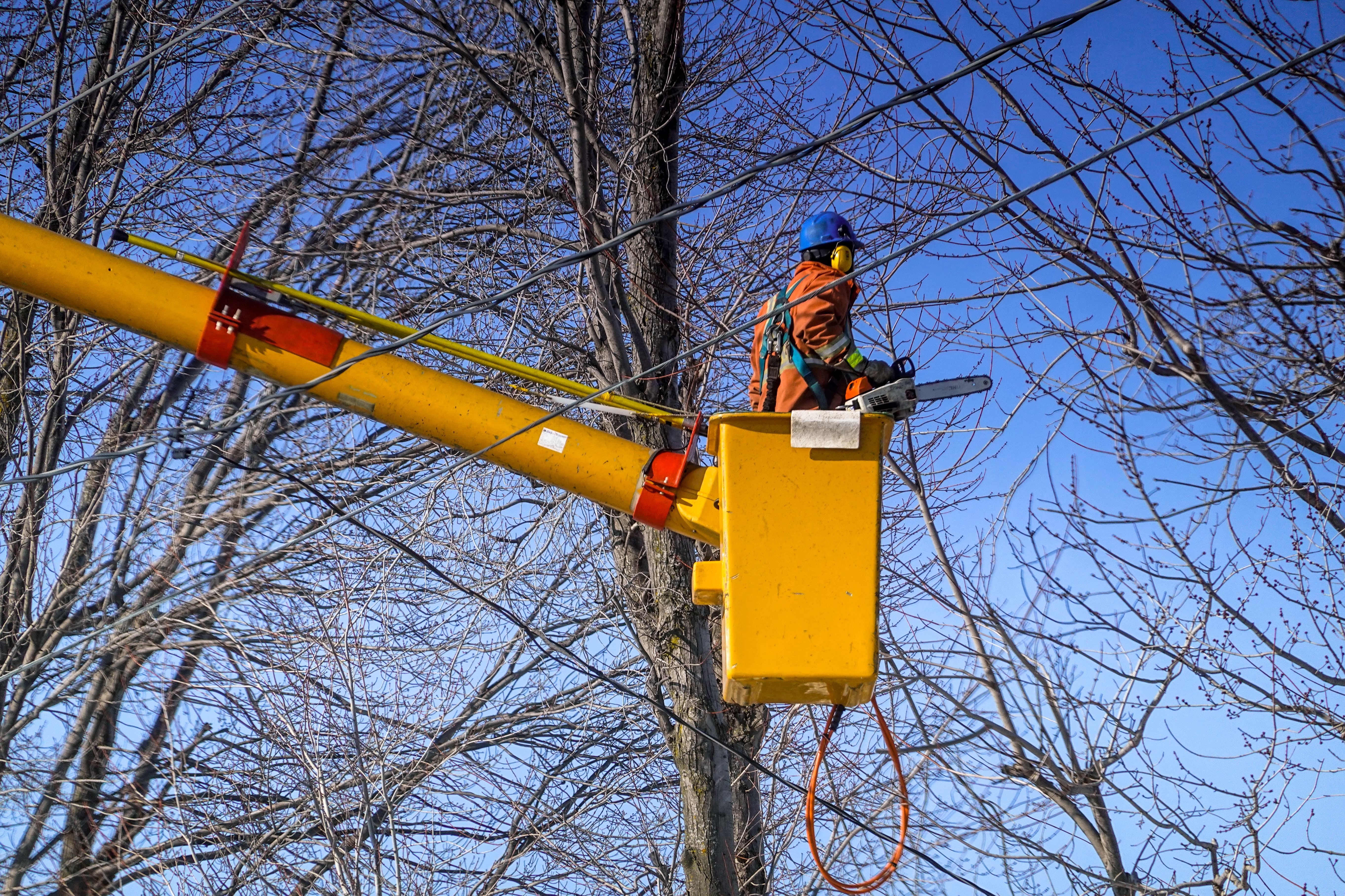 A bucket truck to reach up to the tree to cut a branch