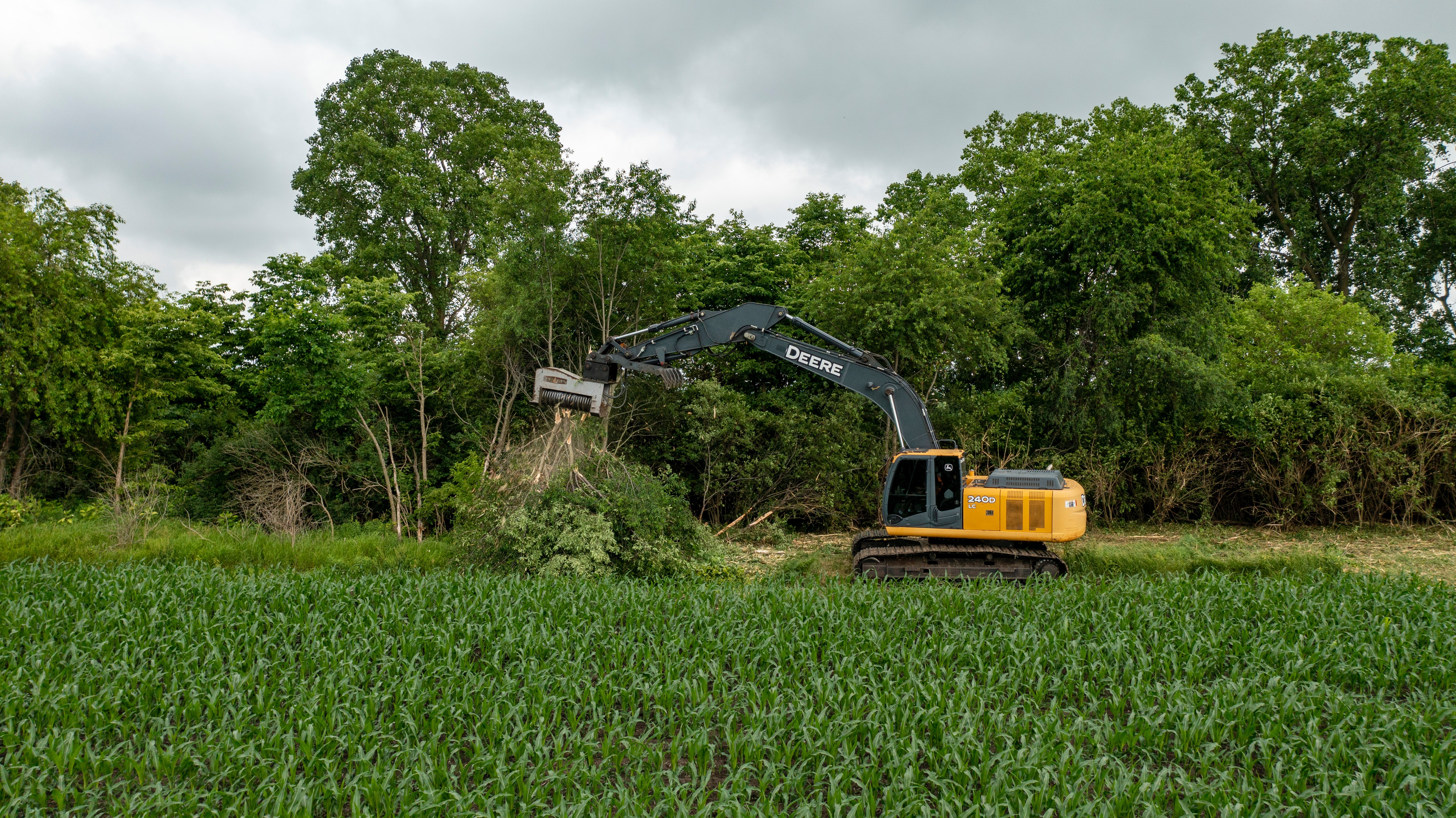 Machine removing a tree