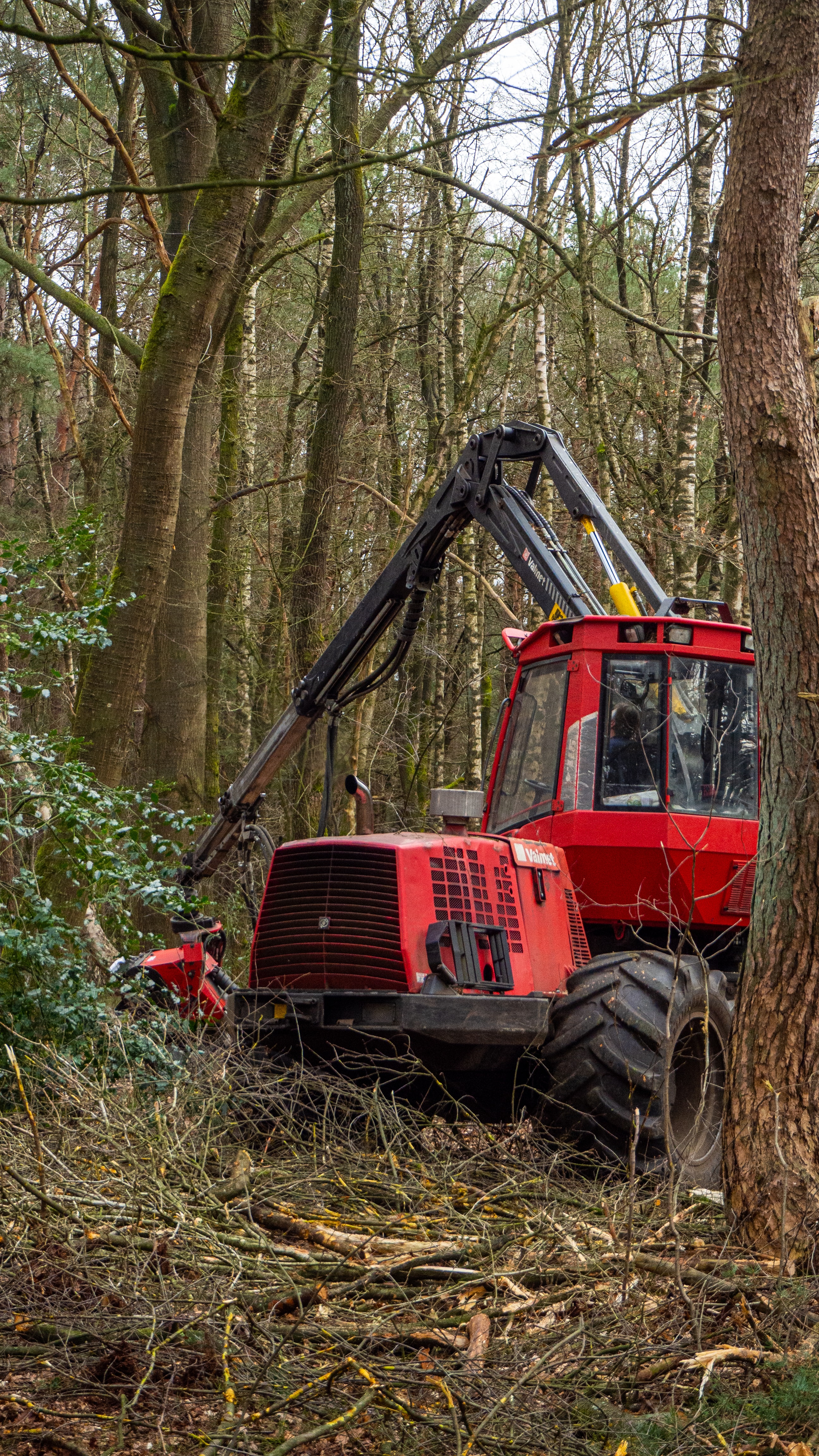 Working in the forest with the machine