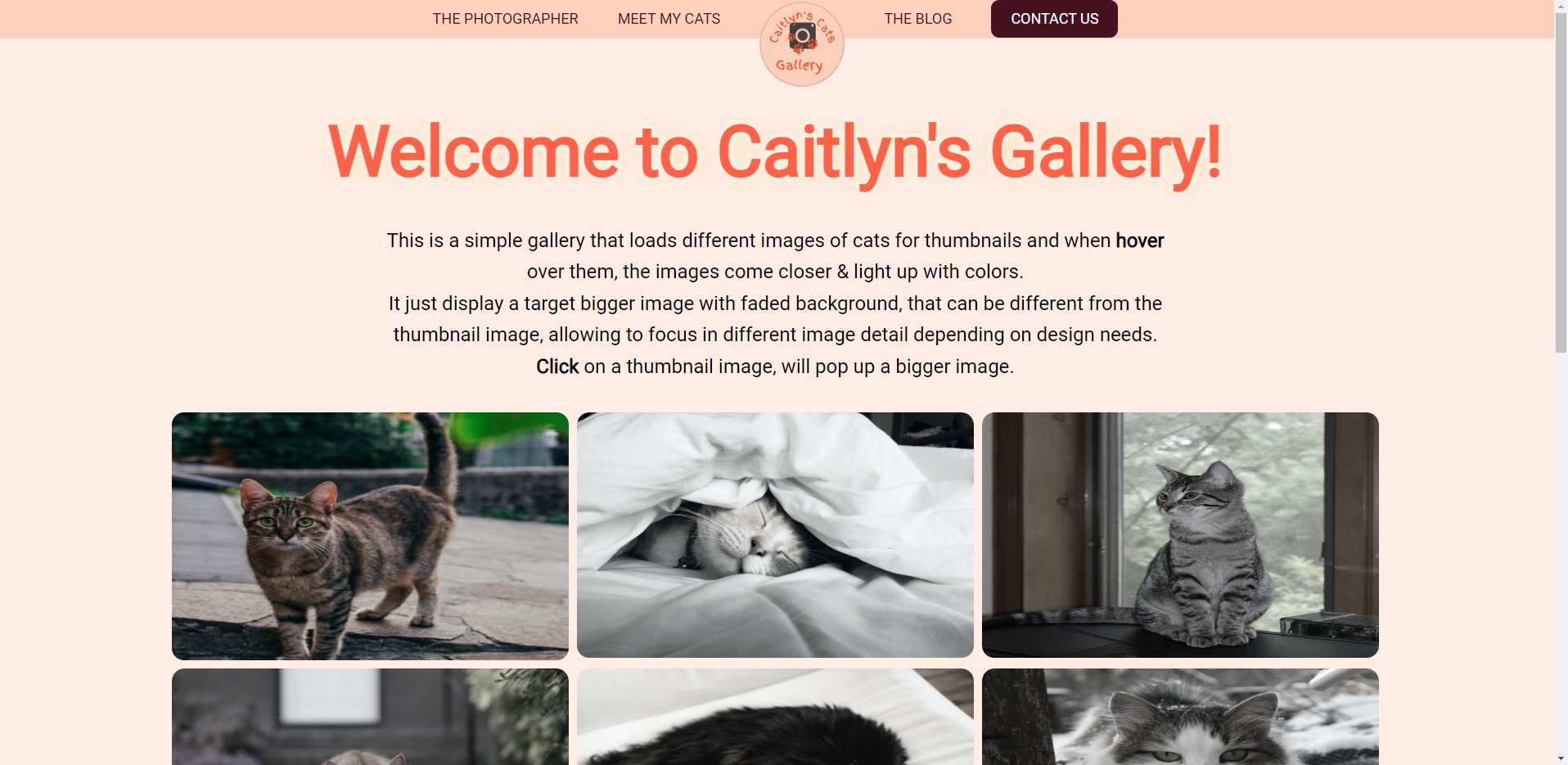 Original Caitlyn's Cats Gallery — a peach-colored page with a basic thumbnail photo gallery and no clear business purpose or call to action