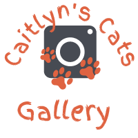 Caitlyn's Cats Gallery Logo